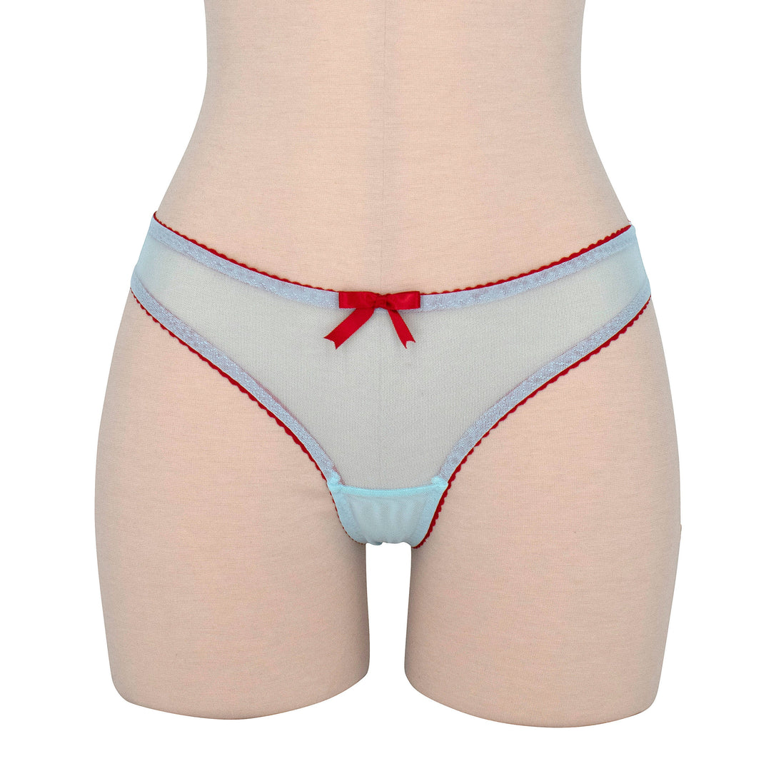Turquoise and Red Mesh Hipster Panty