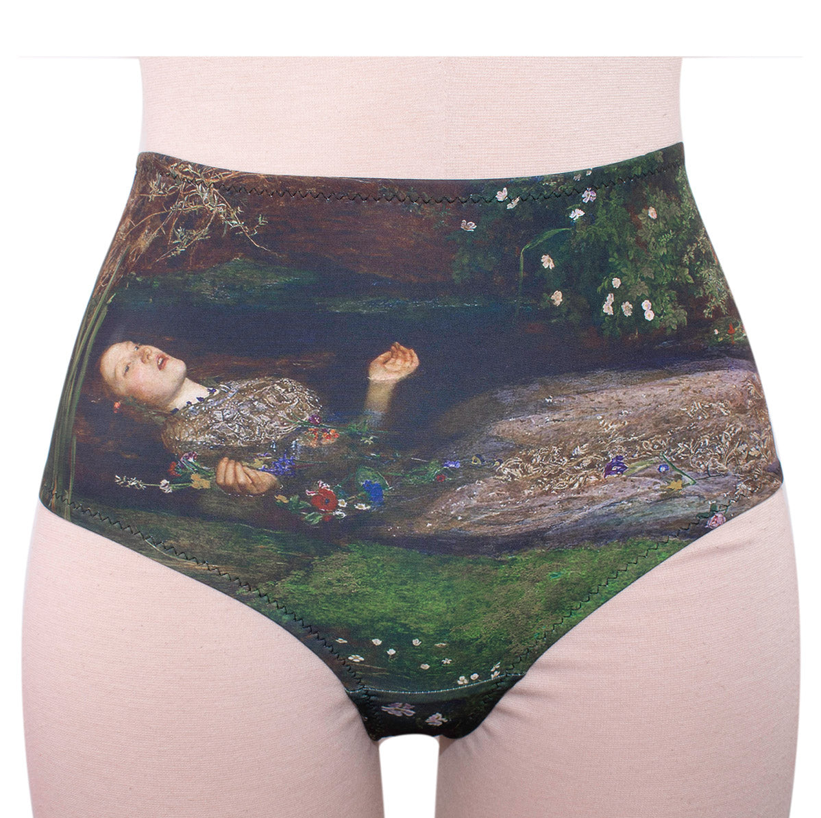 Fine Art Bikinis