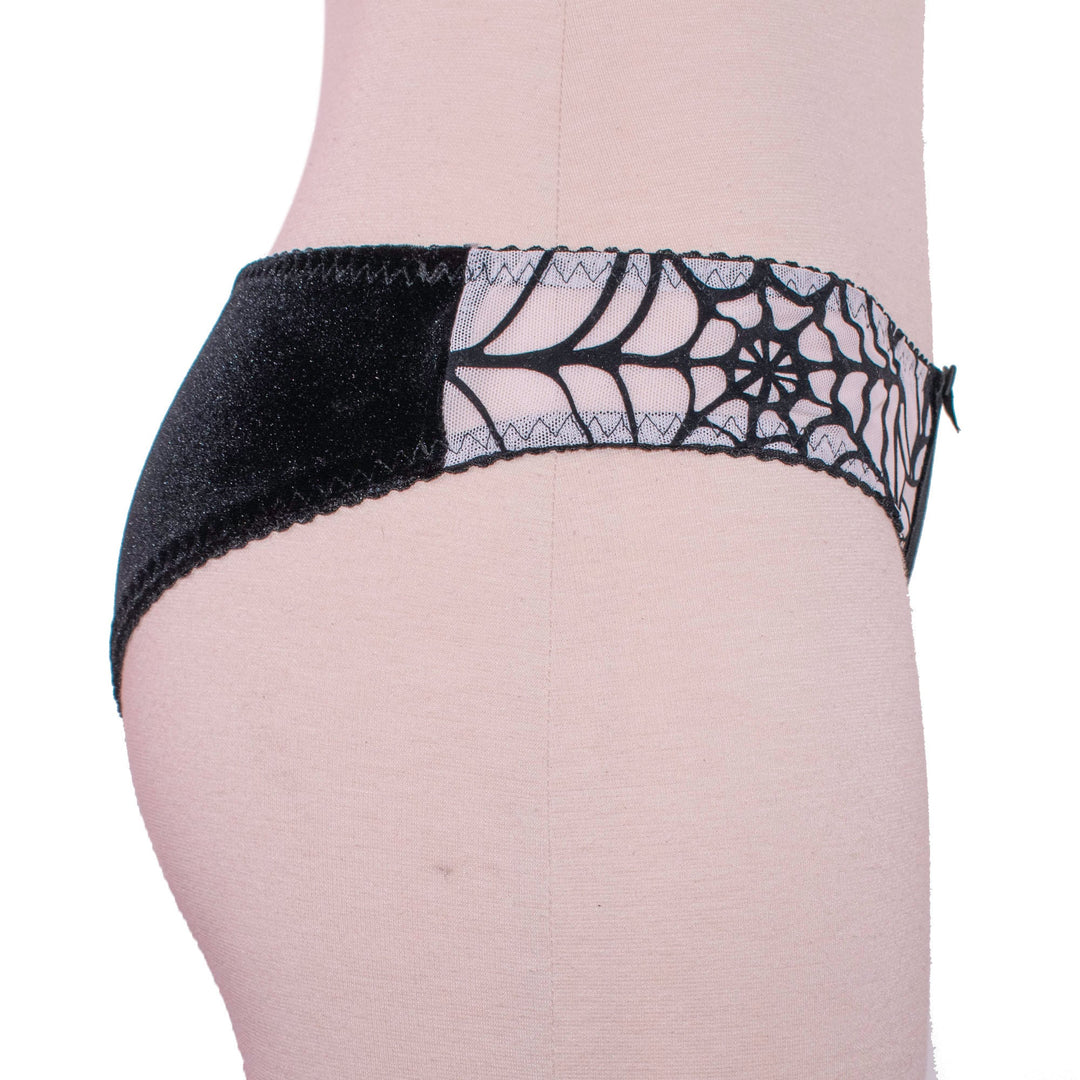 Spiderweb  Hipster Panty